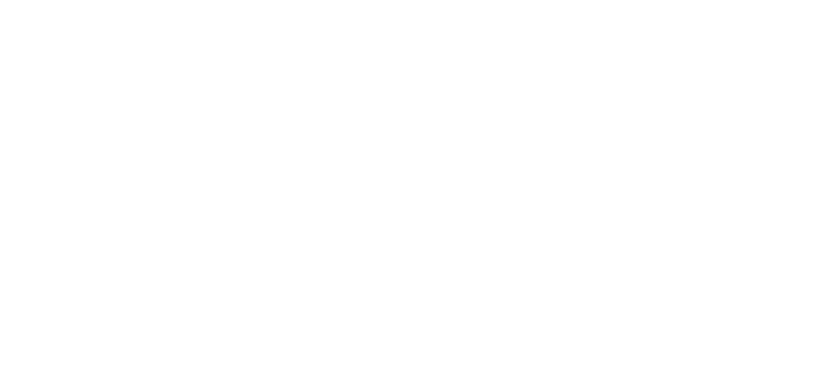 Avondale University